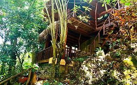 Jungle Face Inn